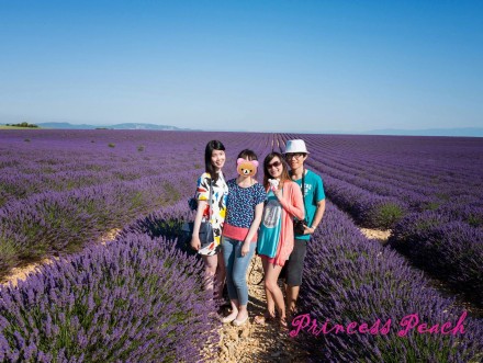 Valensole-avignon